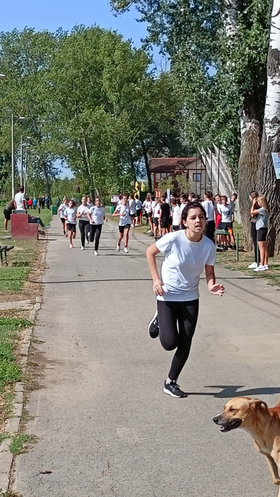 IMG20230922111335.jpg IMG20230922111335.jpg